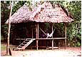 Expedition Pacaya-Samiria
