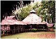 Expedition Pacaya-Samiria