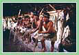 Expedition Pacaya-Samiria