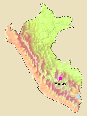 Moray