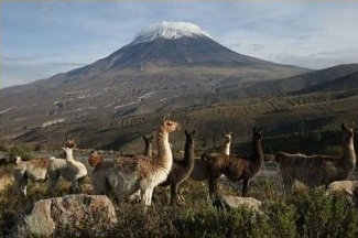 Salinas y Aguada Blanca