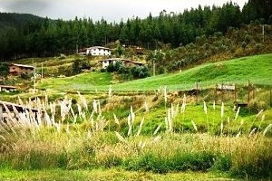 Granja Porcón