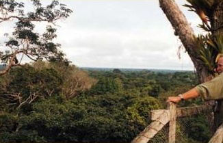 Cabopy walkway en ExplorNapo Lodge