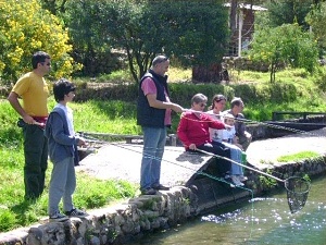 Fundo El Chocho, Fischen