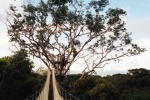 Canopy-Walkway in ExplorNapo