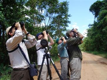 Perú, observación de aves